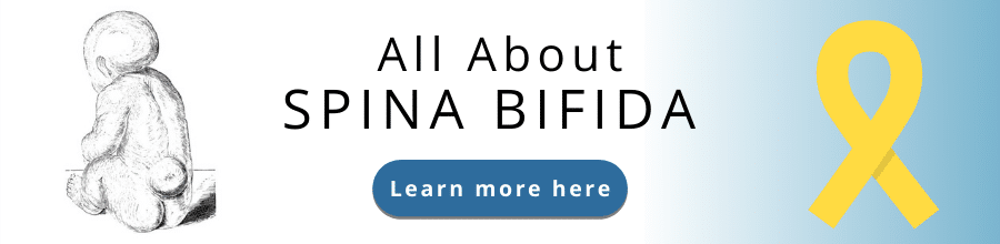 all about spina bifida