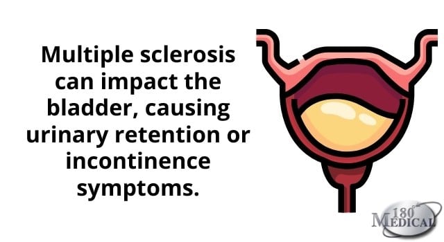 MS can impact the bladder and cause retention or incontinence