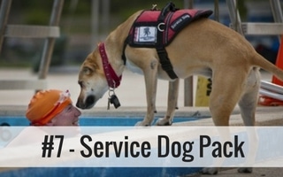 #7. Service Dog Pack