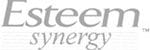 Esteem Synergy logo