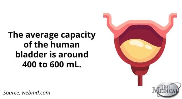 Average capacity of the human bladder is 400 to 600 mL